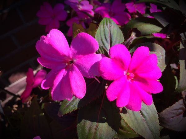 rblog-20151025172611-00.jpg