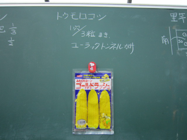 20120407黒板2.jpg