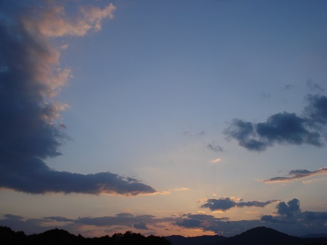 DSC05096.jpg