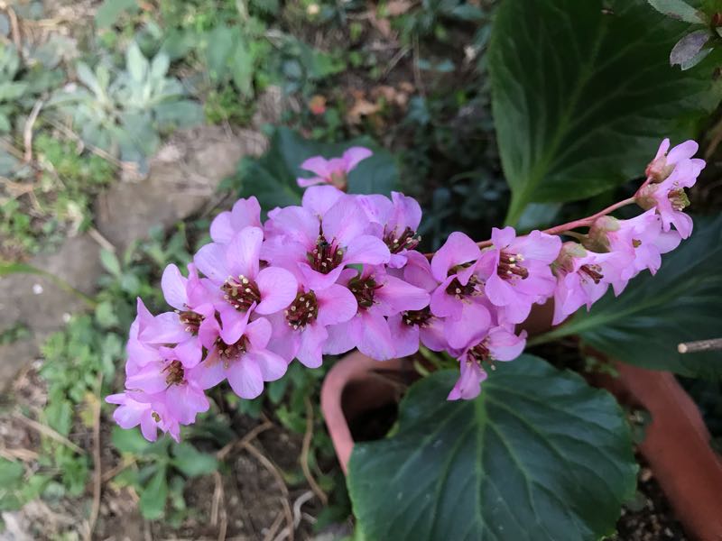 rblog-20190324174258-08.jpg