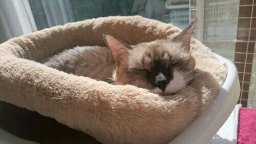 rblog-20161013235445-01.jpg