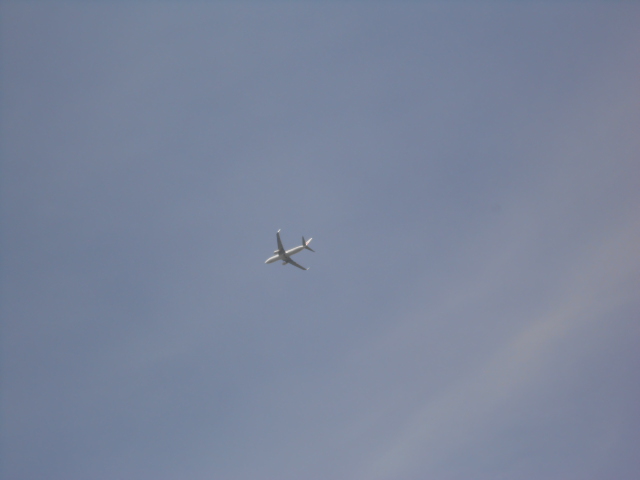 DSCN0376.JPG