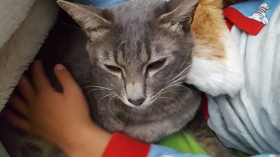 20161024_201253.jpg