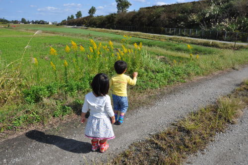 双子の孫