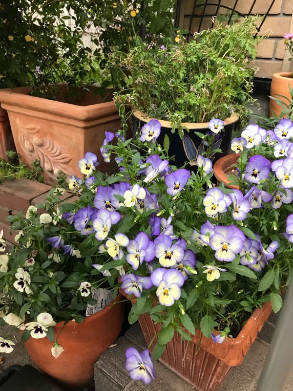 rblog-20190423182202-02.jpg