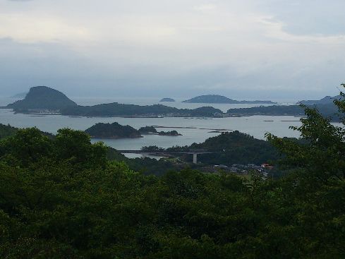 DSC_0392.jpg
