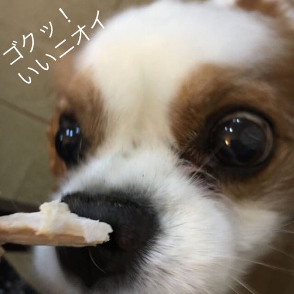 rblog-20170804205322-01.jpg