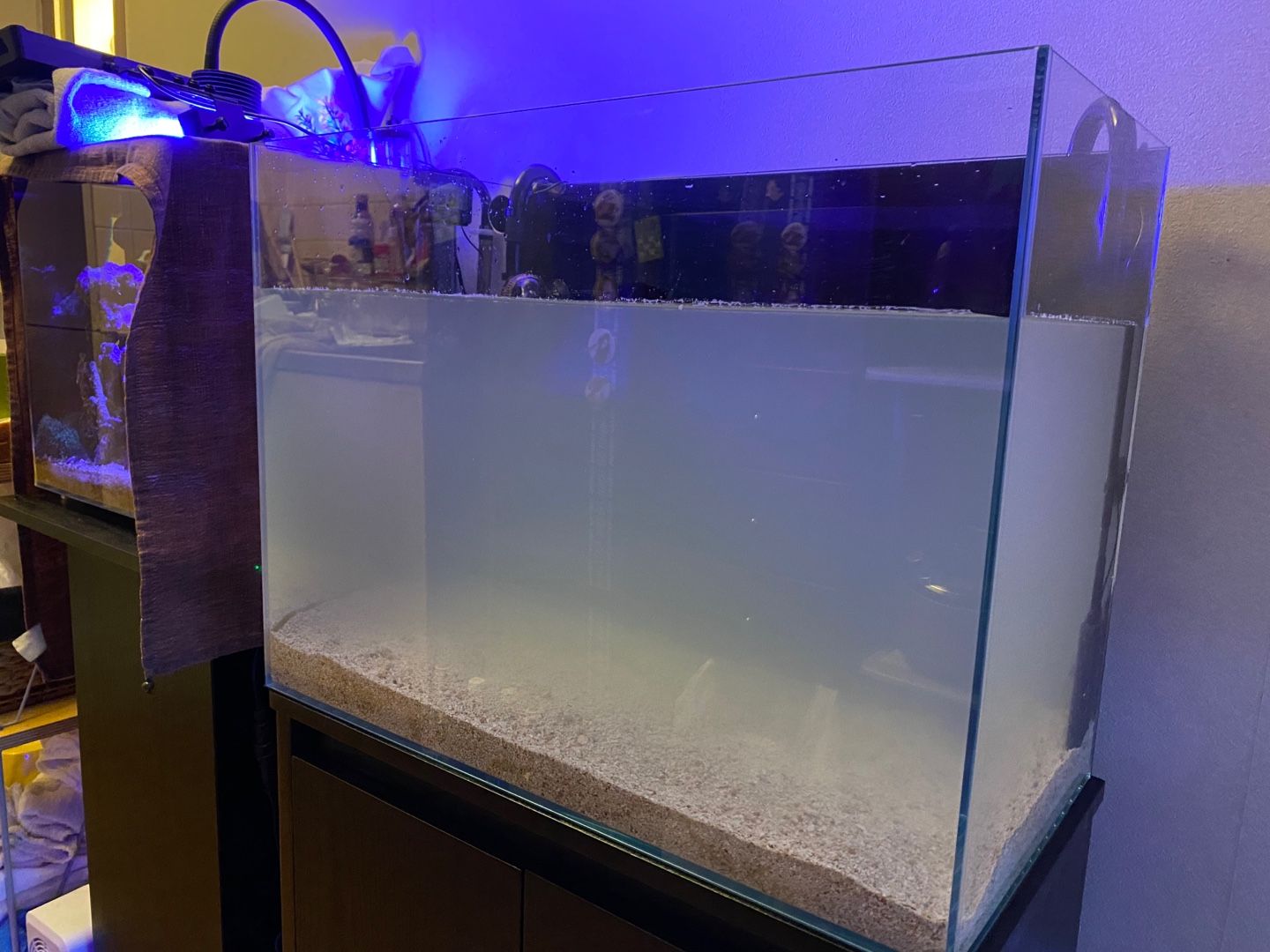 新たなる海水魚水槽6 稼働 ありえないありえる水槽を作りたい ヲカマの日記 楽天ブログ