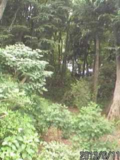 大堀の入り口２