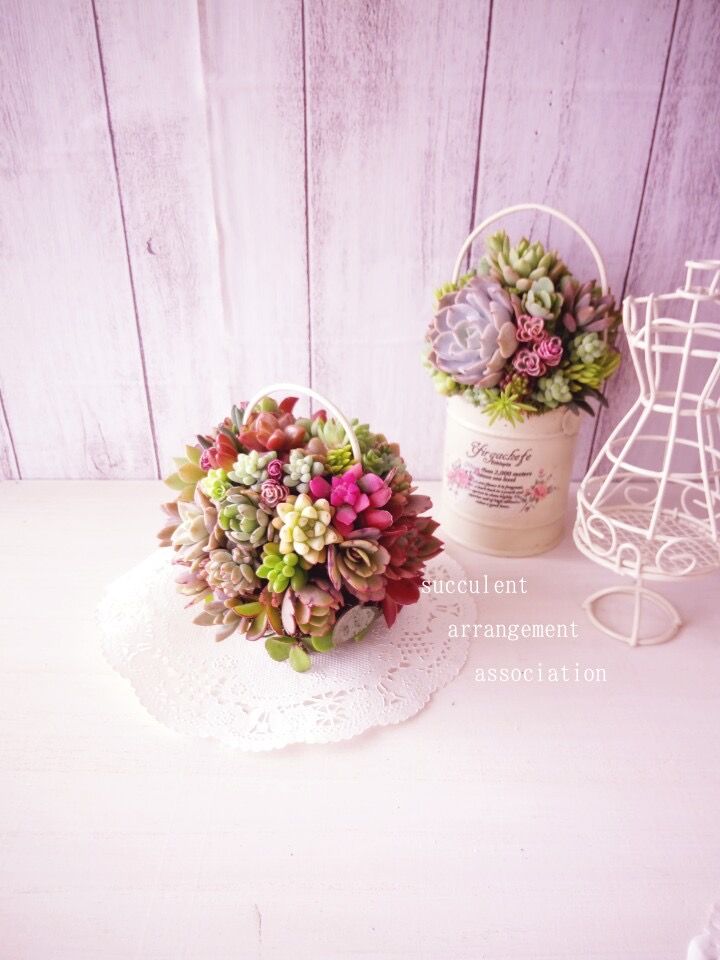 多肉ボール と チマ寄せ 多肉教室千葉 神奈川 東京 埼玉 多肉レッスン 多肉植物 寄せ植え教室 東京 埼玉 千葉 神奈川 愛知 静岡 福島 楽天ブログ