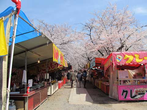 平野神社2.jpg
