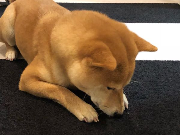 rblog-20180119062553-12.jpg