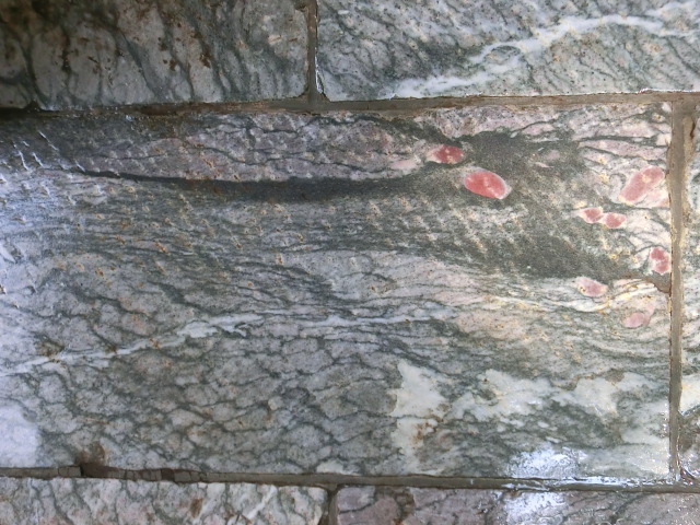 秩父旅行 (三峯神社の龍) (4).JPG