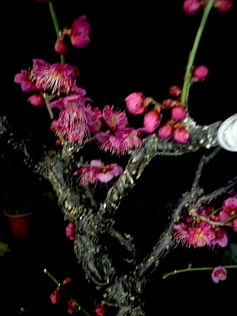 120220_190807.jpg