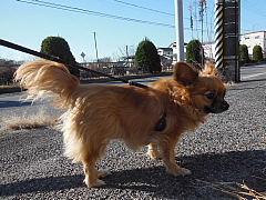 conv0147.JPG