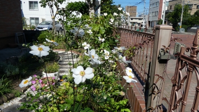 P1000478 (400x225).jpg