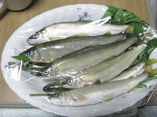IMG_1230.JPG