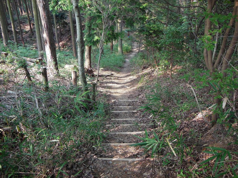 山道