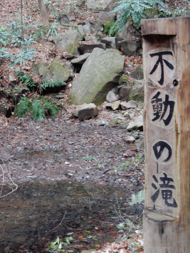DSCN0028b20160131.jpg
