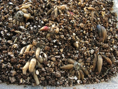 20121024-4.JPG