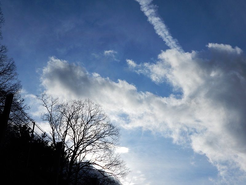 空2