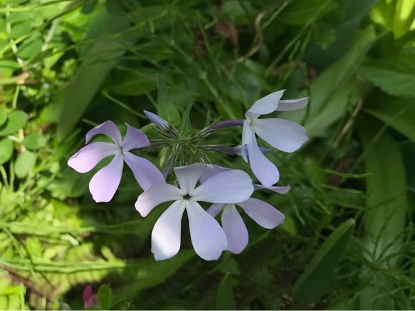 rblog-20190423181829-03.jpg