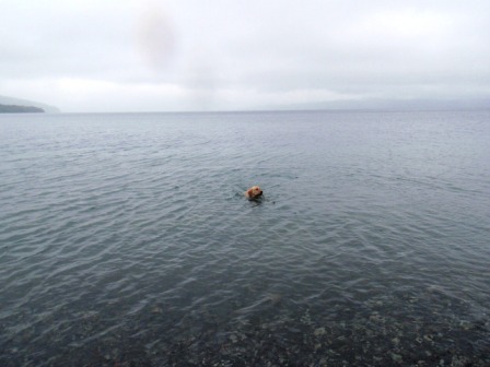 支笏湖.jpg
