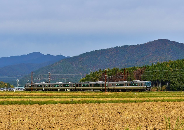 DSC_7909.JPG