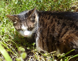 P1170578-ass.jpg