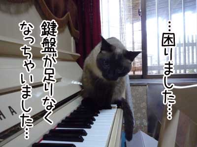 ピアノ５.JPG