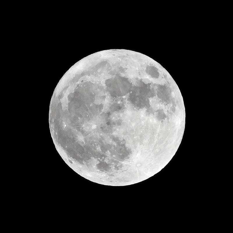 十五夜の月中