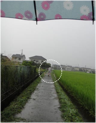 雨傘.jpg