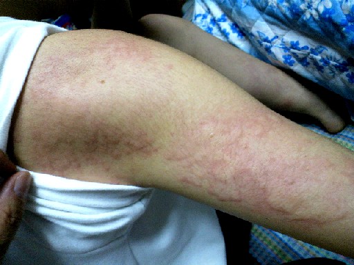2012052709210000.jpg