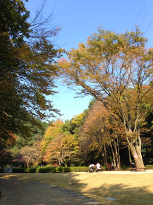 秋の公園