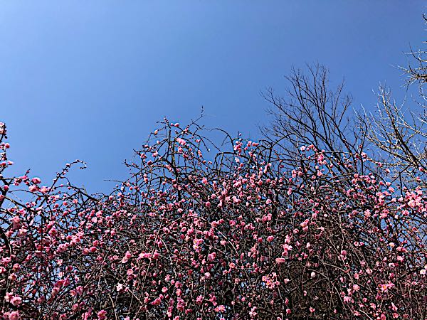rblog-20180315161956-07.jpg