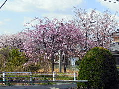 conv0666.JPG