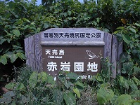 観光3.jpg