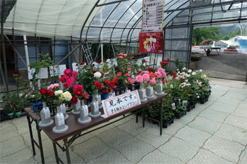 佳松園114.jpg