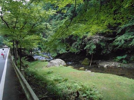 DSCN4704.jpg