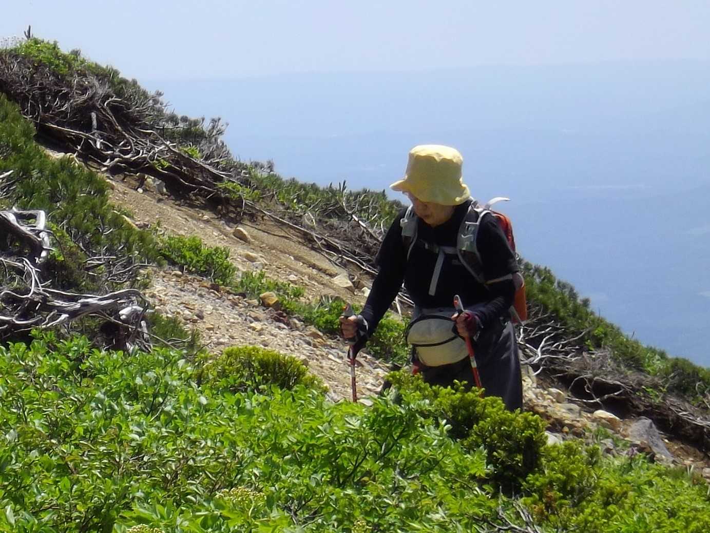 初夏の八甲田山登山はNWで。 | ANWC 青い森ノルディックウォーキングクラブ - 楽天ブログ
