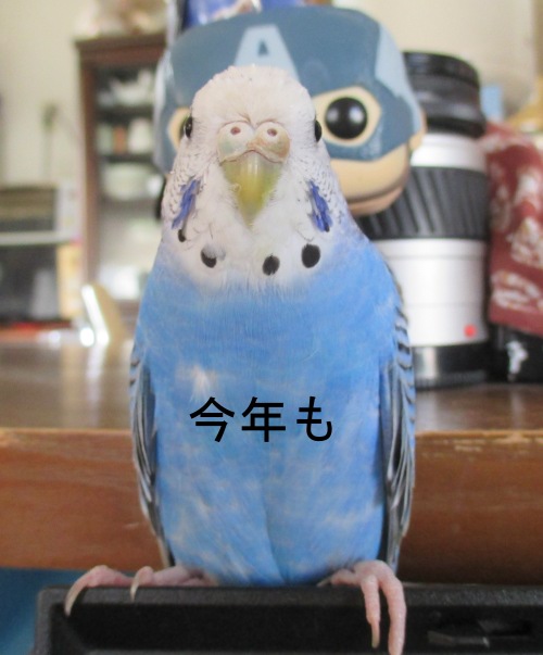 ひーちゃん