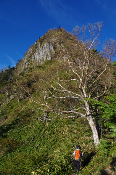 IMGP1394.JPG