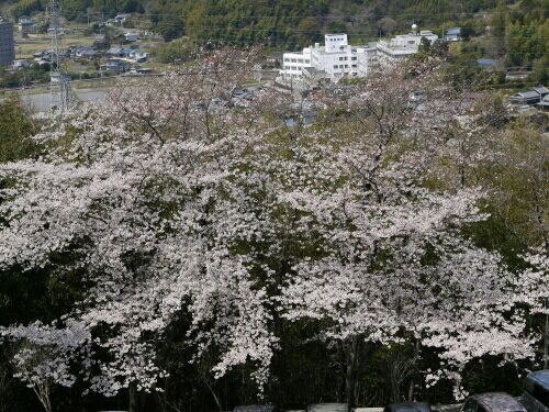 rblog-20170405204347-03.jpg