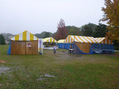 一宮菊花大会会場