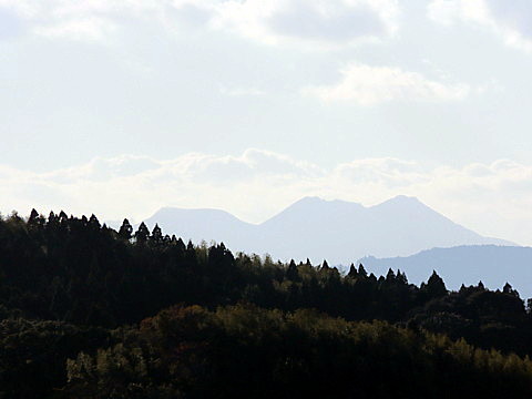 IMG_0238.jpg