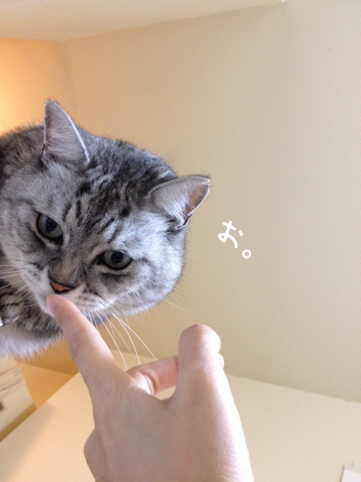 120228_2.jpg