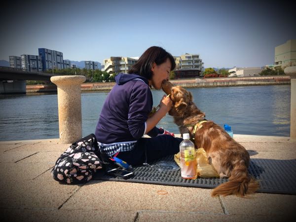 rblog-20180410173038-04.jpg