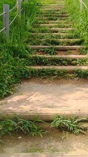 丸墓山古墳の階段２