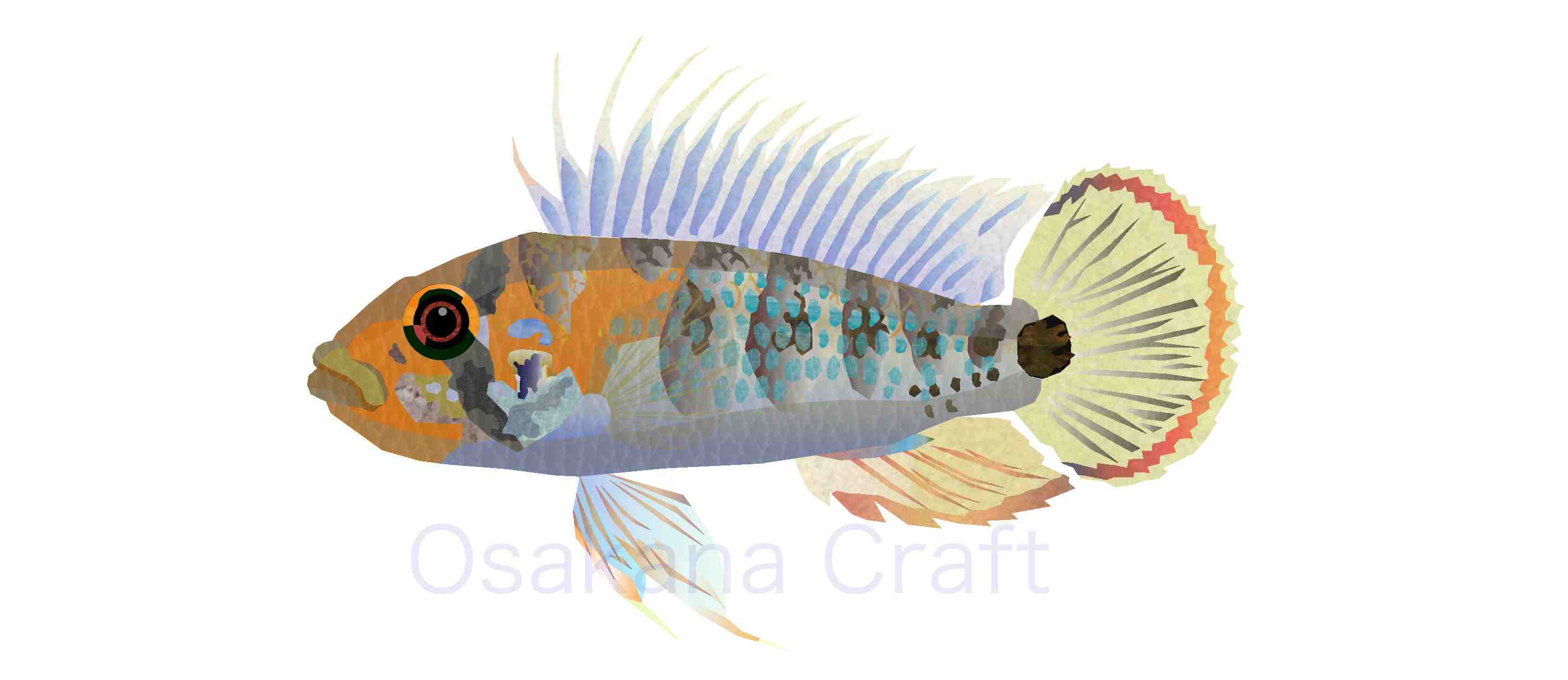 アピストグラマ Apistogramma Osakana Craft イラスト熱帯魚図鑑 楽天ブログ