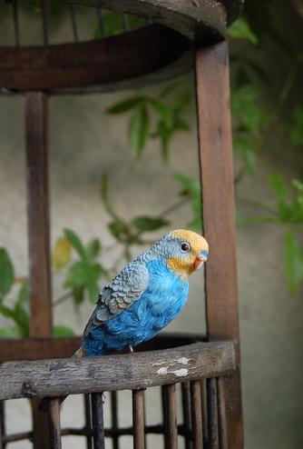 DSC_0024.JPG
